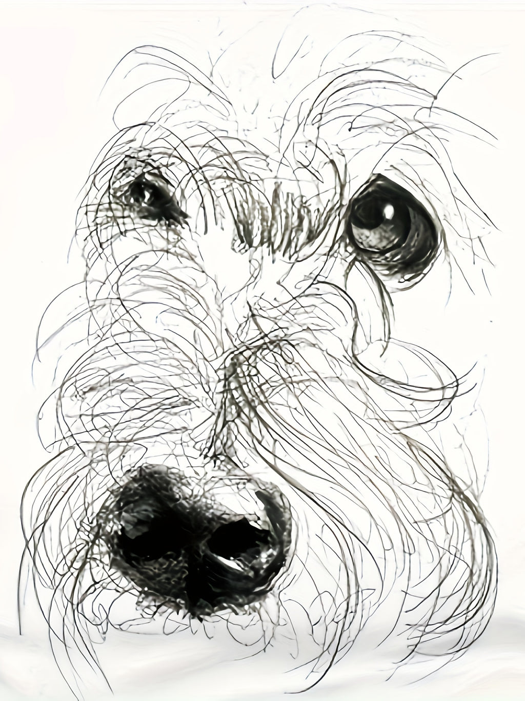 Double-Sided Print White Dog