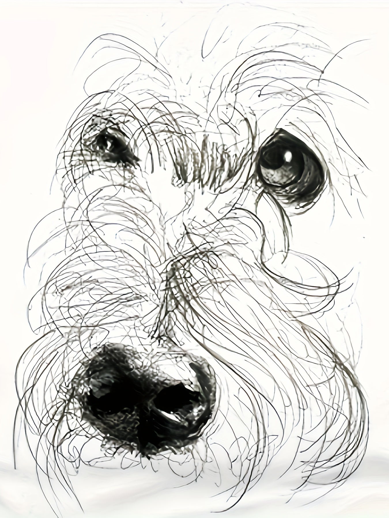 Double-Sided Print White Dog